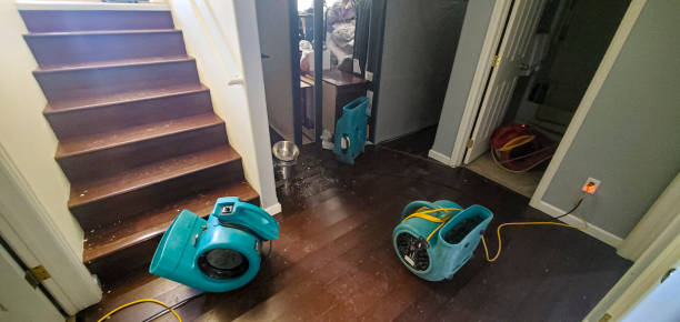 Best Water damage restoration near me  in Antioch, CA
