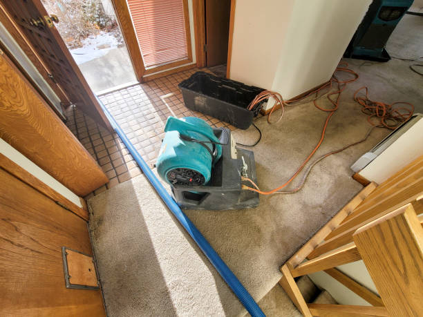Best Water damage restoration near me  in Antioch, CA