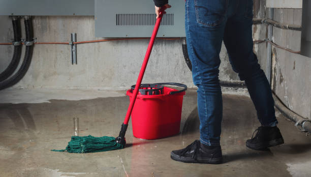 Best Flooded house restoration  in Antioch, CA