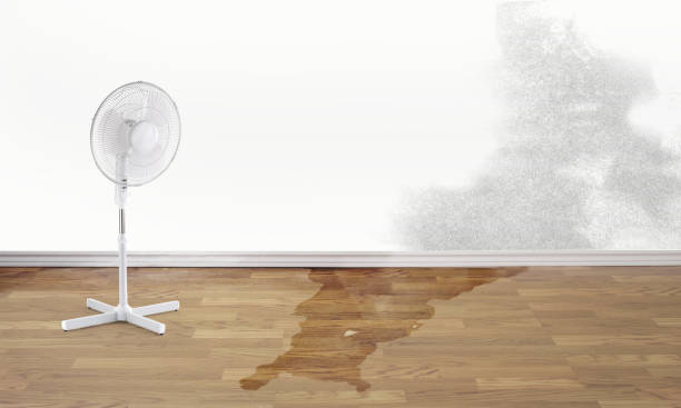 Best Water damage restoration specialists  in Antioch, CA