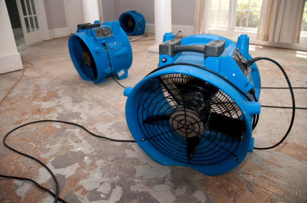 Best Water damage restoration process  in Antioch, CA