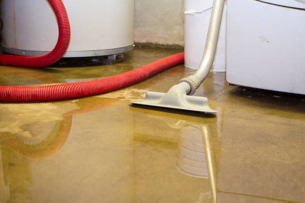 Water damage restoration insurance claims in Antioch, CA