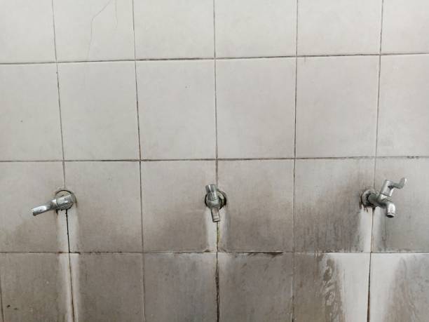 Best Flood restoration services  in Antioch, CA
